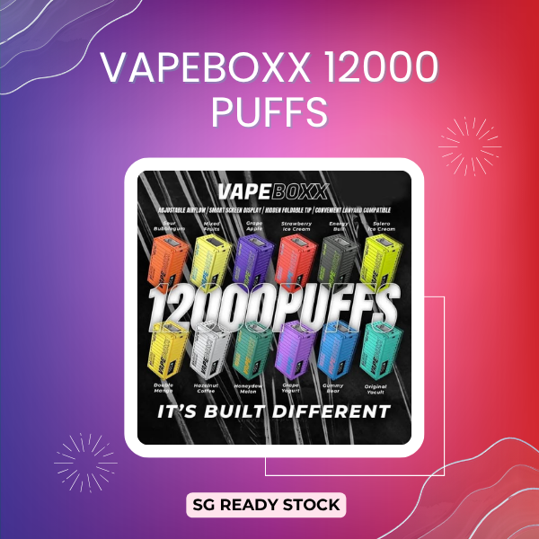 Vapeboxx 12000 Puffs disposable vape device with futuristic container design and chrome finish